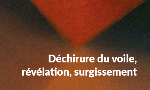 Ρεζινάλντ Μπλανσέ, Η λακανική προοπτική του "εν λευκώ νοήματος"